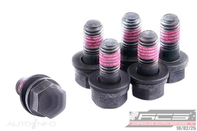 BOLT SET P/P GM 8x1.25x17.3 (6) 32Nm