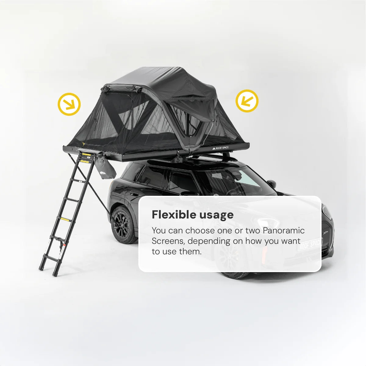 Roof Space Panoramic Screen