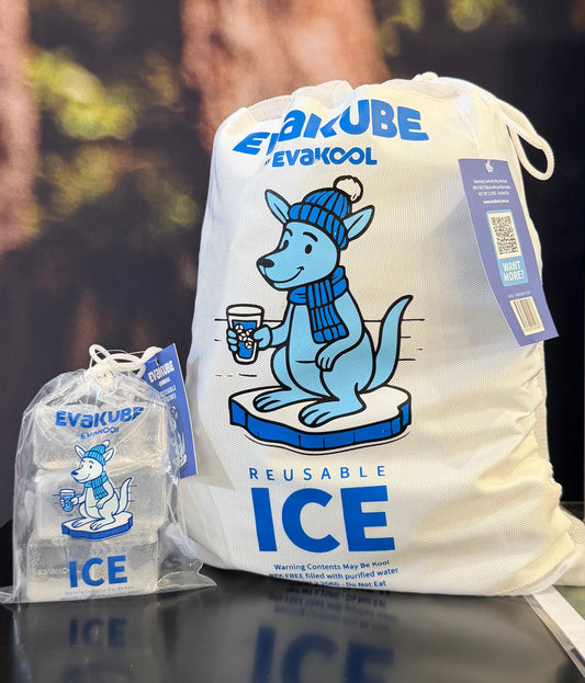 EvaKool EvaKube Reusable Ice Cubes 6 Pack