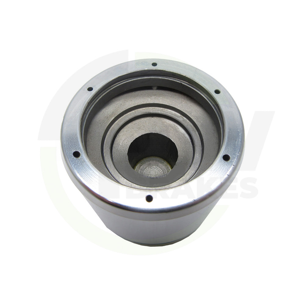 PW16263 Caliper Piston