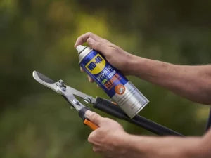 LAWN & GARDEN FOAMING CLEANER 400g AEROSOL